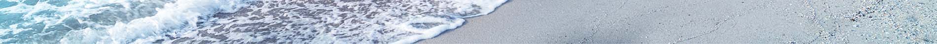 spot_img